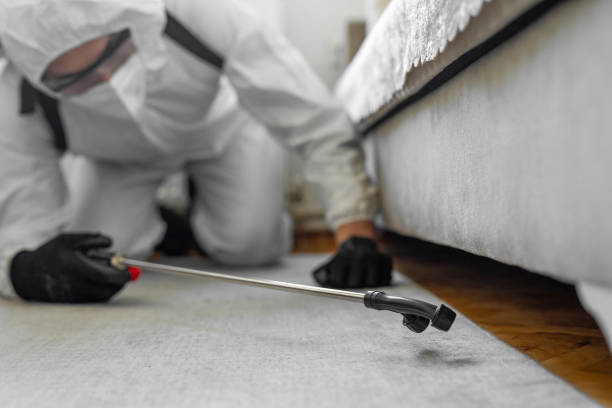 Professional Cockroach Control technician working in Bangor, WI